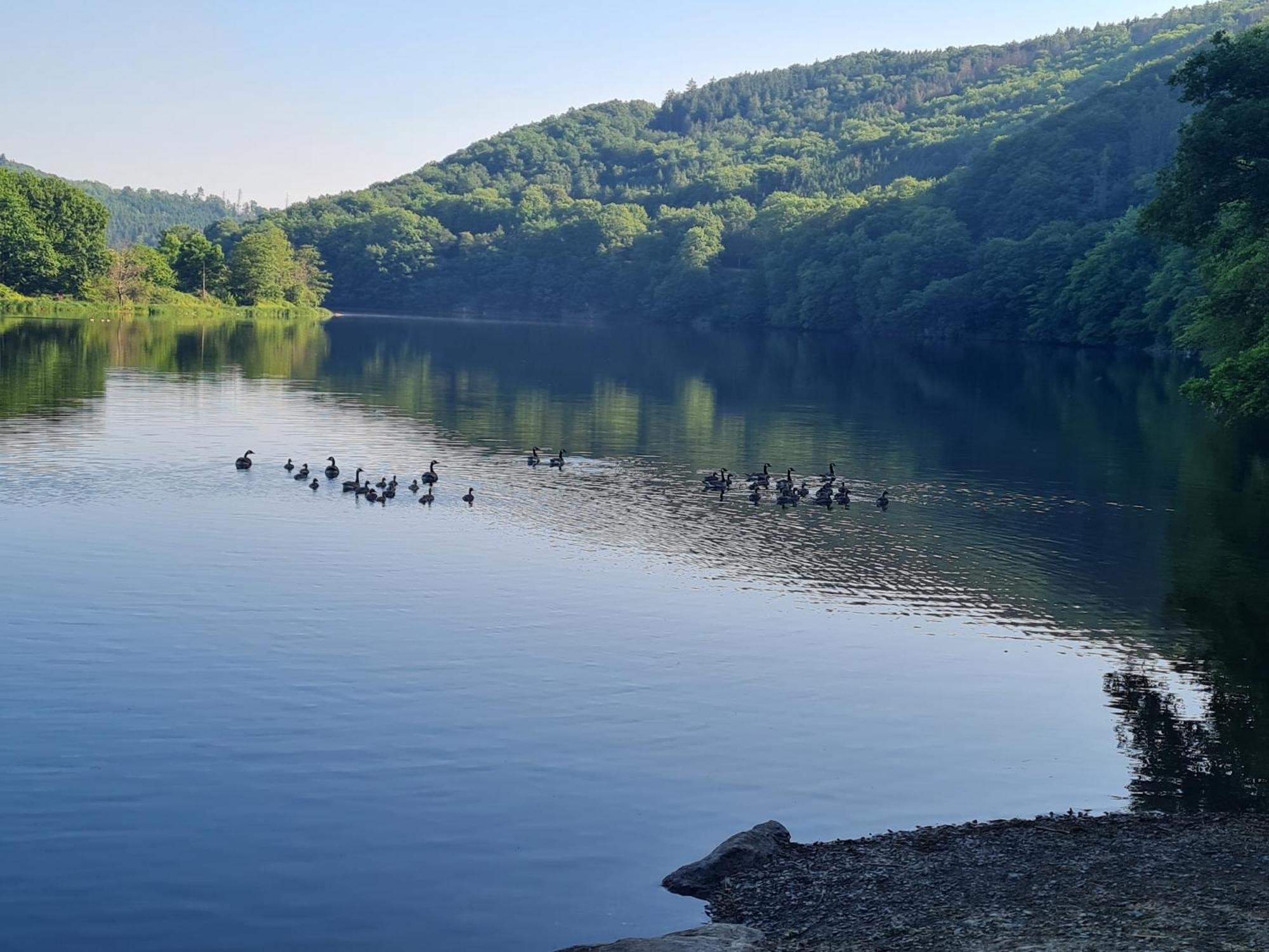 Ferienwohnung Am Rursee -Wohnung 2 Зимерат Стая снимка