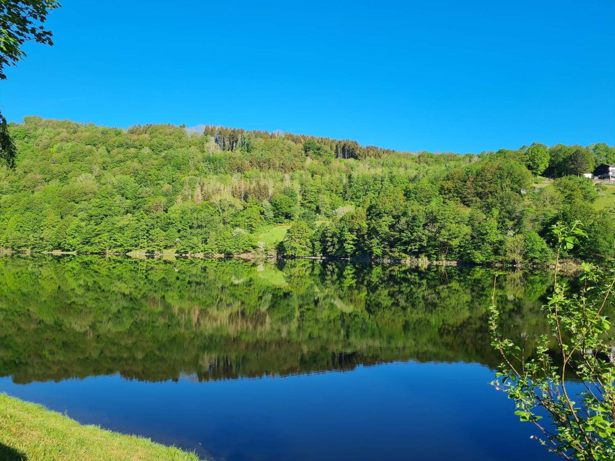 Ferienwohnung Am Rursee -Wohnung 2 Зимерат Екстериор снимка